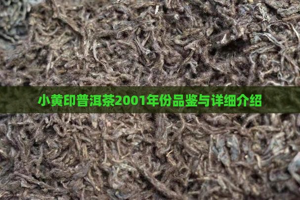 小黄印普洱茶2001年份品鉴与详细介绍 小黄印普洱茶2001年份品鉴与详细介绍