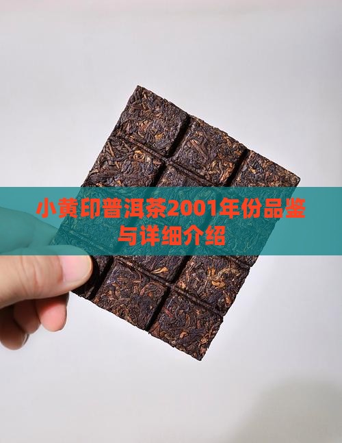 小黄印普洱茶2001年份品鉴与详细介绍 小黄印普洱茶2001年份品鉴与详细介绍