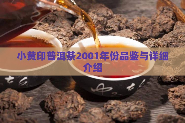 小黄印普洱茶2001年份品鉴与详细介绍 小黄印普洱茶2001年份品鉴与详细介绍