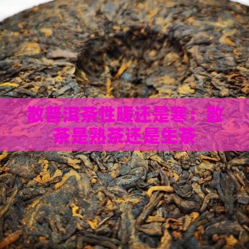 散普洱茶性暖还是寒：散茶是熟茶还是生茶