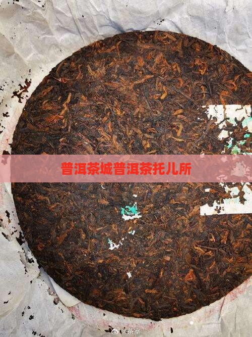 普洱茶城普洱茶托儿所