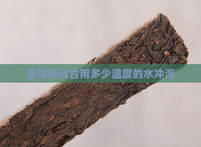 普洱茶适合用多少温度的水冲泡