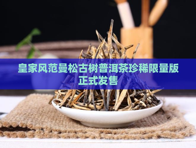 皇家风范曼松古树普洱茶珍稀限量版正式发售