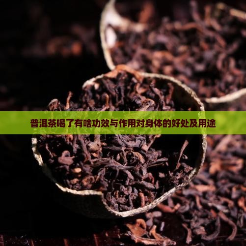 普洱茶喝了有啥功效与作用对身体的好处及用途
