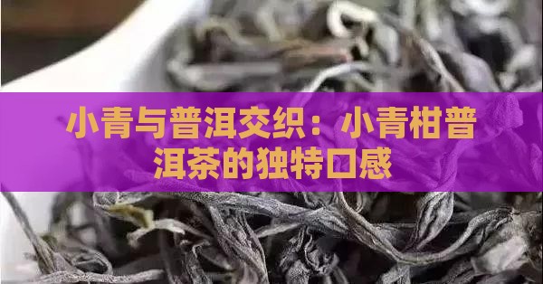 小青与普洱交织：小青柑普洱茶的独特口感