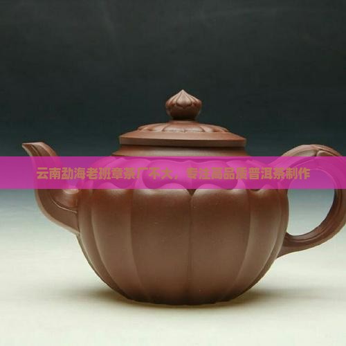 云南勐海老班章茶厂不大，专注高品质普洱茶制作