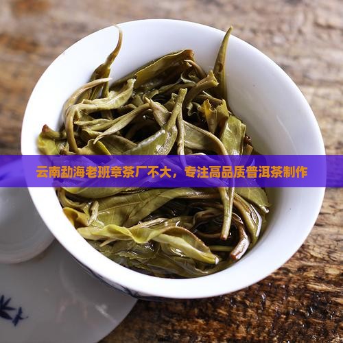 云南勐海老班章茶厂不大，专注高品质普洱茶制作