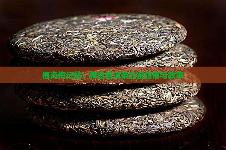 福海梅记站：精选普洱茶品鉴指南与故事