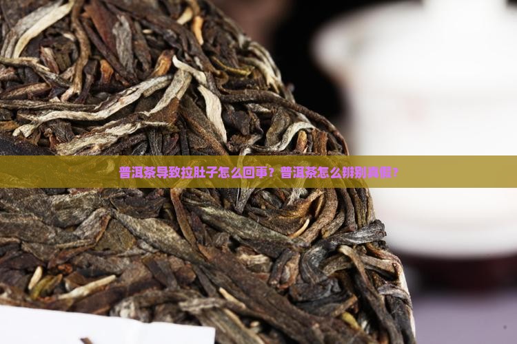 普洱茶导致拉肚子怎么回事？普洱茶怎么辨别真假？