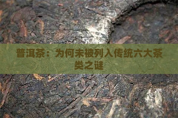 普洱茶：为何未被列入传统六大茶类之谜