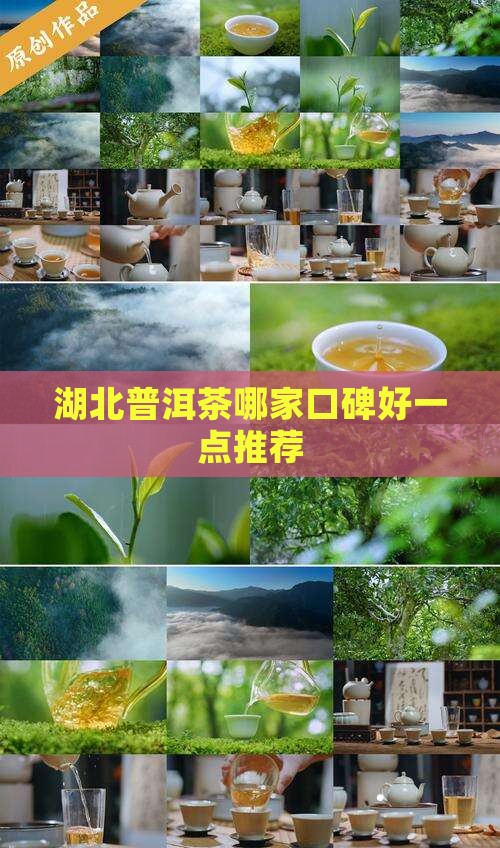 湖北普洱茶哪家口碑好一点推荐