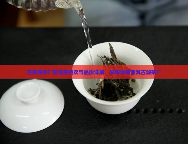 古茶源茶厂普洱茶档次与品质详解，探秘云南普洱古源茶厂