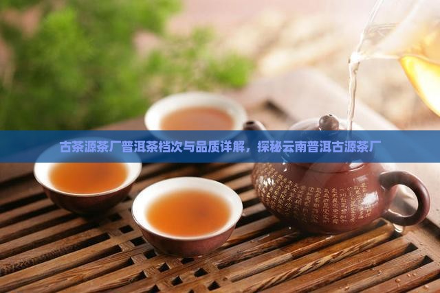 古茶源茶厂普洱茶档次与品质详解，探秘云南普洱古源茶厂