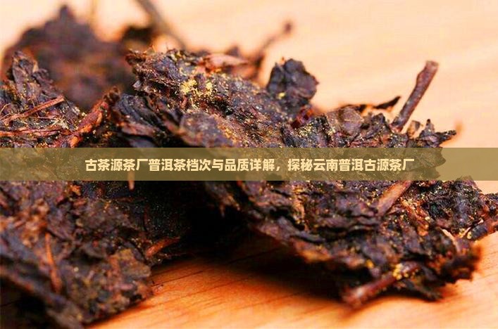 古茶源茶厂普洱茶档次与品质详解，探秘云南普洱古源茶厂