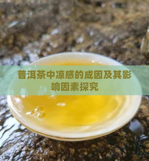 普洱茶中凉感的成因及其影响因素探究