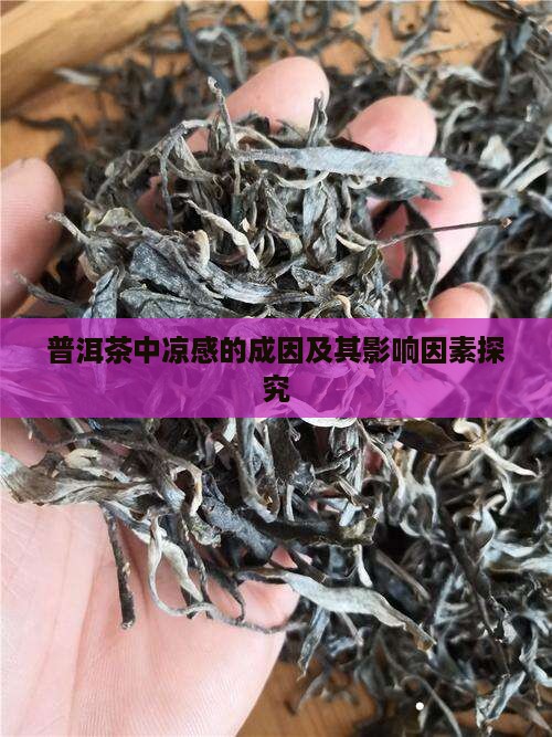 普洱茶中凉感的成因及其影响因素探究