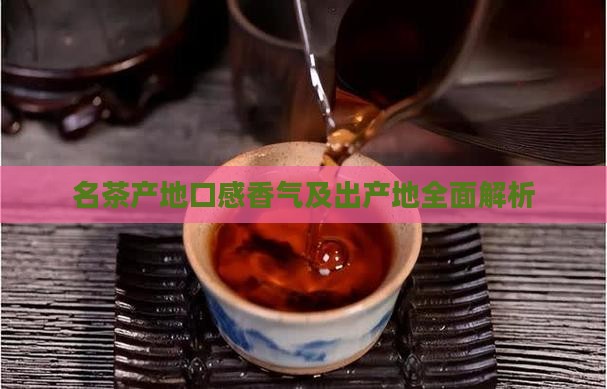 名茶产地口感香气及出产地全面解析