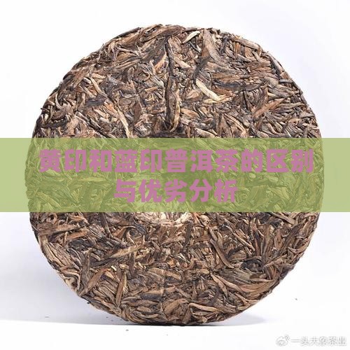 黄印和蓝印普洱茶的区别与优劣分析