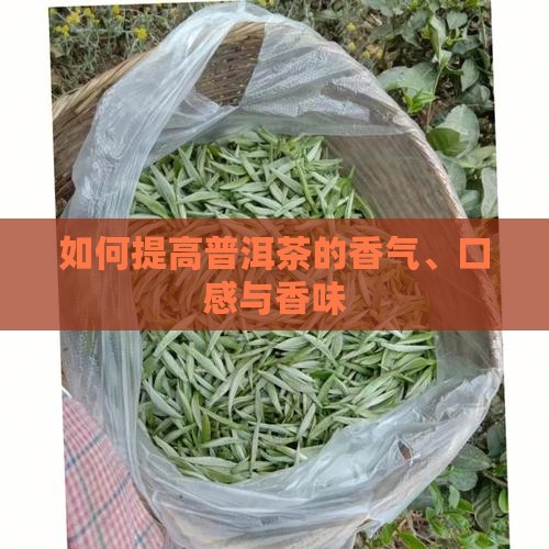 如何提高普洱茶的香气、口感与香味