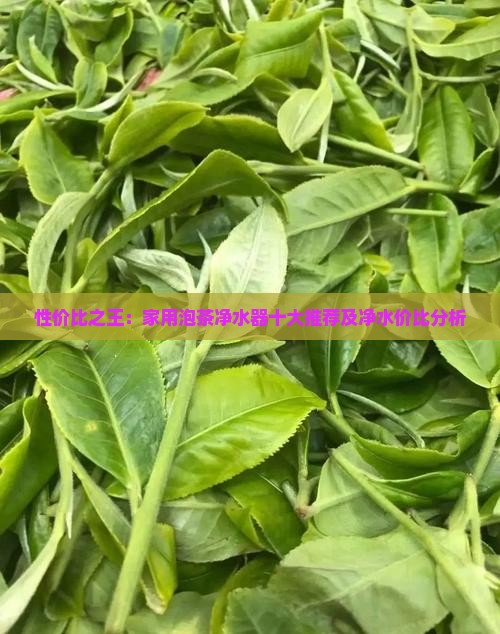 性价比之王：家用泡茶净水器十大推荐及净水价比分析