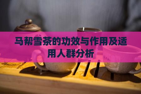马帮雪茶的功效与作用及适用人群分析