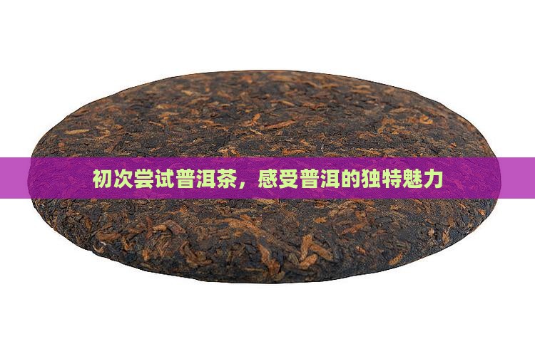 初次尝试普洱茶，感受普洱的独特魅力