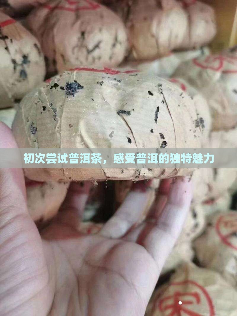 初次尝试普洱茶，感受普洱的独特魅力