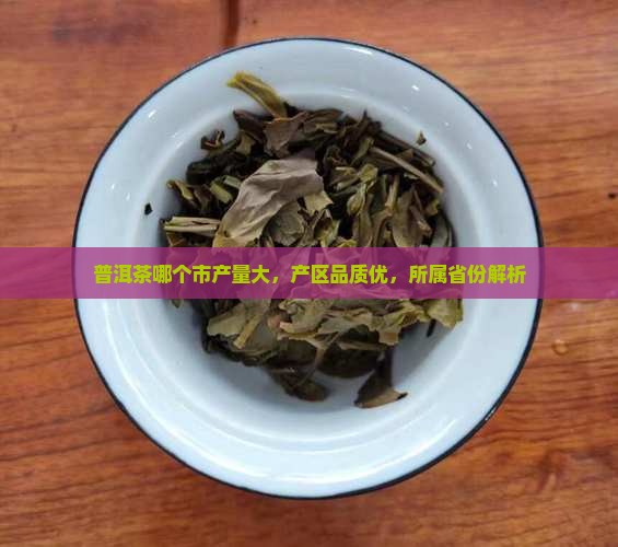 普洱茶哪个市产量大，产区品质优，所属省份解析