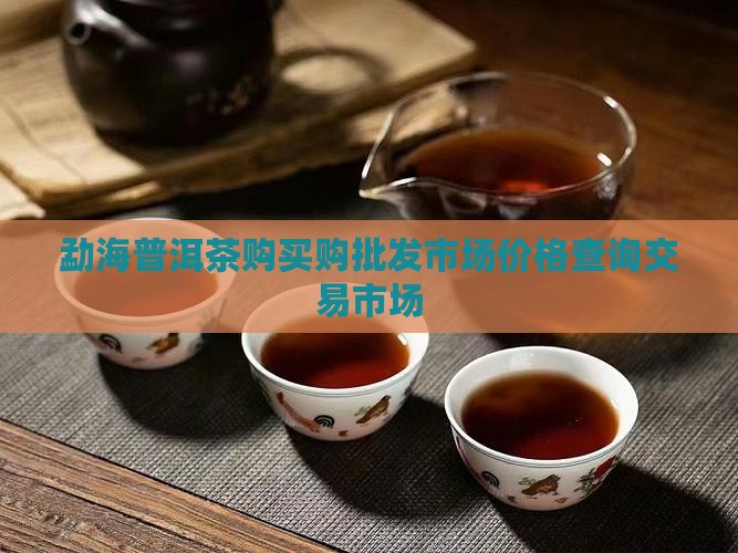 勐海普洱茶购买购批发市场价格查询交易市场