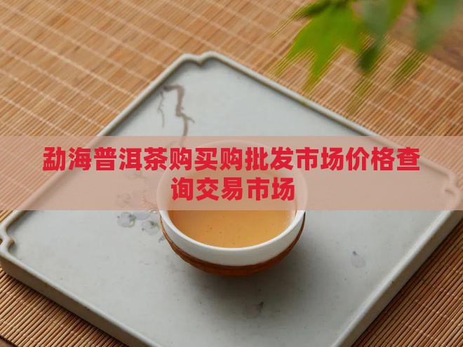 勐海普洱茶购买购批发市场价格查询交易市场
