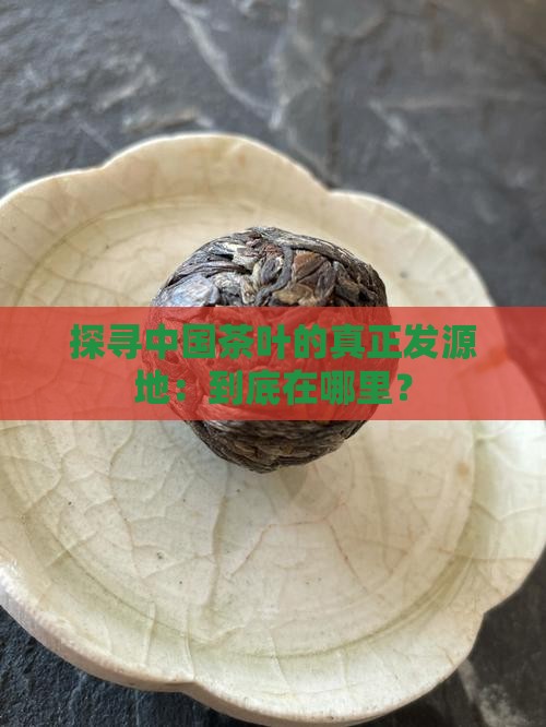 探寻中国茶叶的真正发源地：到底在哪里？