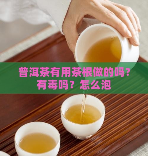 普洱茶有用茶根做的吗？有毒吗？怎么泡