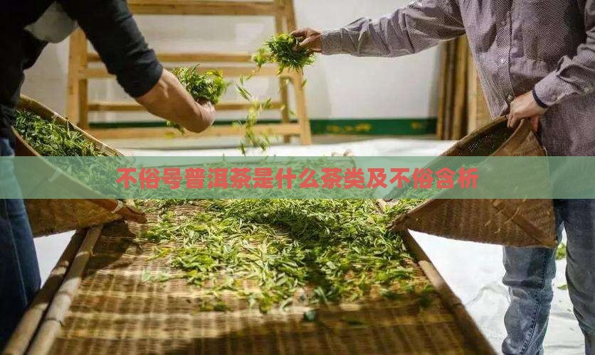 不俗号普洱茶是什么茶类及不俗含析