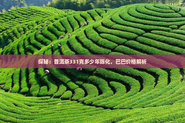 探秘：普洱茶331克多少年陈化，巴巴价格解析