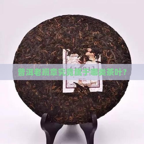 普洱老班章究竟属于哪类茶叶？