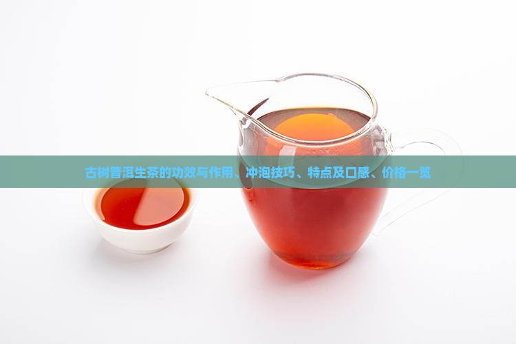 古树普洱生茶的功效与作用、冲泡技巧、特点及口感、价格一览