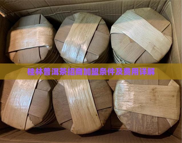 桂林普洱茶招商加盟条件及费用详解