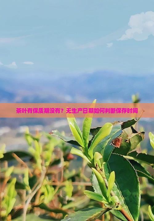 茶叶有保质期没有？无生产日期如何判断保存时间