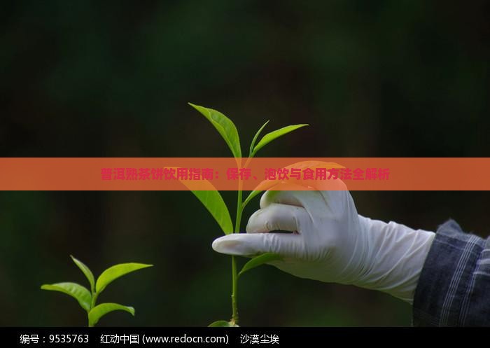 普洱熟茶饼饮用指南：保存、泡饮与食用方法全解析