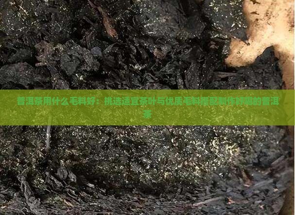 普洱茶用什么毛料好：挑选适宜茶叶与优质毛料搭配制作好喝的普洱茶