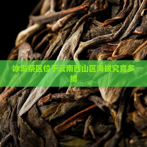 冰岛茶区位于云南西山区海拔究竟多缚