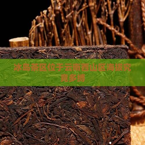 冰岛茶区位于云南西山区海拔究竟多缚