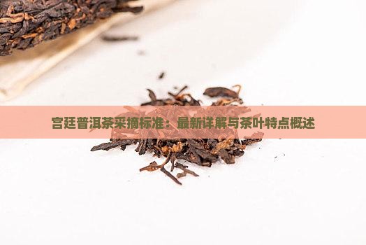宫廷普洱茶采摘标准：最新详解与茶叶特点概述