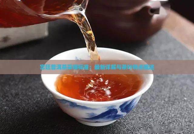 宫廷普洱茶采摘标准：最新详解与茶叶特点概述