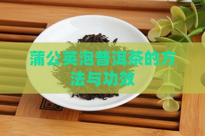 蒲公英泡普洱茶的方法与功效