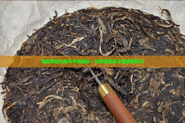 莓茶黄酮功效与作用解析：饮用禁忌及可能禁用情况