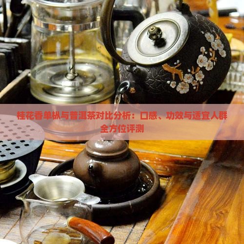 桂花香单枞与普洱茶对比分析：口感、功效与适宜人群全方位评测