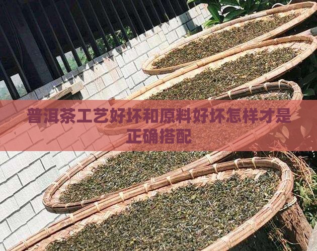 普洱茶工艺好坏和原料好坏怎样才是正确搭配