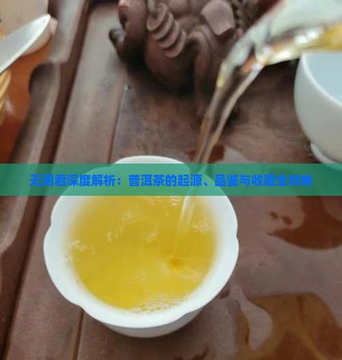 无用君深度解析：普洱茶的起源、品鉴与收藏全攻略