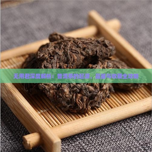 无用君深度解析：普洱茶的起源、品鉴与收藏全攻略